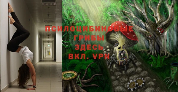 мдпв Нижневартовск