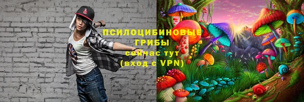 меф Мегион