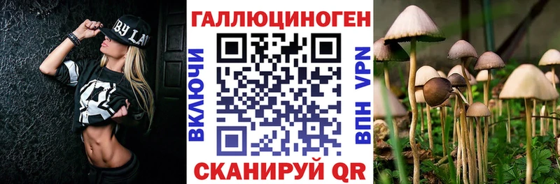 сколько стоит  Рязань  Псилоцибиновые грибы ЛСД 